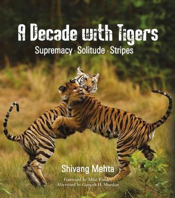 [9789386906038-1] A Decade with Tigers : Supremacy, Solitude, Stripes