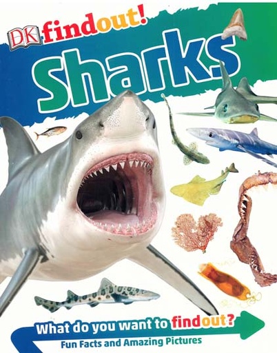 [9780241420669-1] DK Findout Sharks