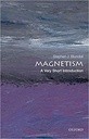 Magnetism : A Very Short Introduction 317