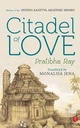 Citadel Of Love