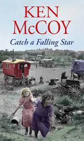 [9780749956837-1] Catch A Falling Star
