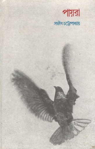 [8170664551-1] পায়রা