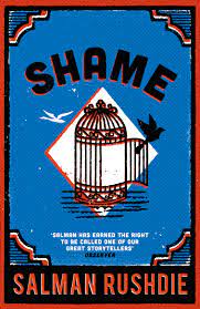 [9780099578611-1] Shame (Vintage)