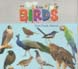 [9789849190031-1] Kids : Birds