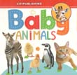 Baby Animals