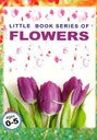 Big Book Series of Flowers (Ages 0-5)
