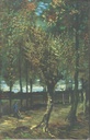 Poplars Near (Sevendays Notebook)