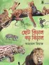 ছোট বিড়াল বড় বিড়াল