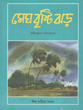[8186806667-1] মেঘ বৃষ্টি ঝড়