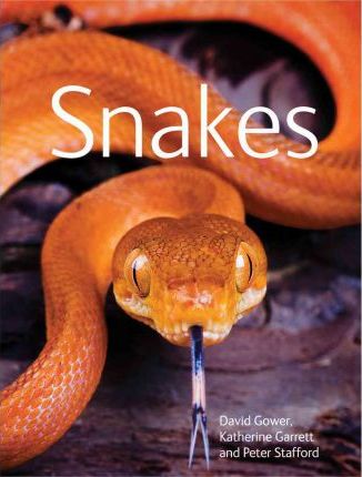 [9781554078028-1] Snakes (Firefly)