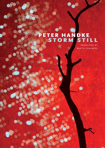 [9780857425584] Storm Still