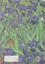 Irises 1889, France : Notebook