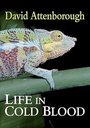 Life in Cold Blood