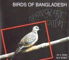 [2203021042] বাংলাদেশের পাখি