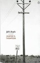 Hells Angels (Penguin)