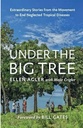 Under The Big Tree 
