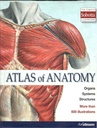 Atlas of Anatomy : Organs Systems Structures