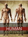 Atlas of Human Anatomy