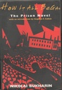 How It All Began : The Prison Novel