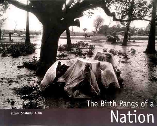 [9789893345622-1] The Birth Pangs of a NATION