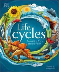 [9780241410998-1] Life Cycles : Everything From Start To Finish