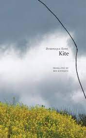 [9780857426369-1] Kite (Seagull)
