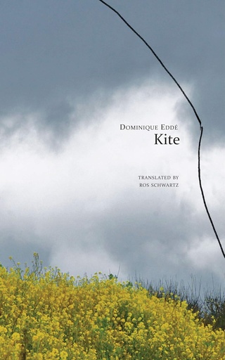 [9780857426369-1] Kite (Seagull)