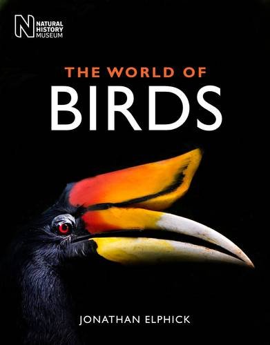 [9780565092375-1] The World Of Birds