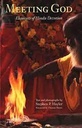 Meeting God : Elements of Hindu Devotion