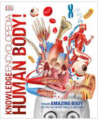 [9780241385777-1] Knowledge Encyclopedia Human Body (DK)
