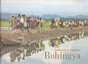 Genocide in Rakhane : Rohingya