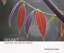 [9789849073932-1] Sylhet : Nature, Wildlife, Birds