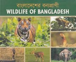 [9789843397706-1] Wildlife Of Bangladesh